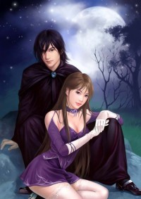 天家貴妻