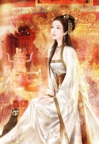 上门佳婿
